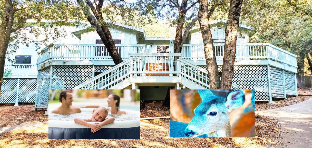 Pine Hills Cabin In จูเลียน ภายนอก รูปภาพ