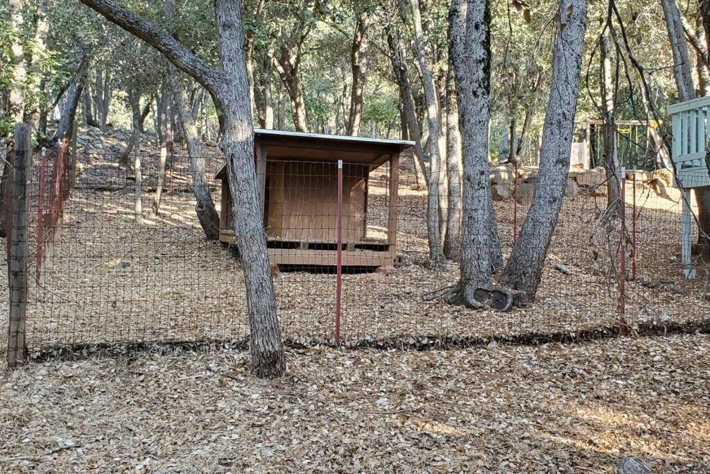 Pine Hills Cabin In จูเลียน ภายนอก รูปภาพ