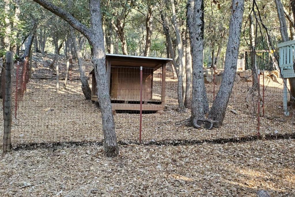 Pine Hills Cabin In จูเลียน ภายนอก รูปภาพ