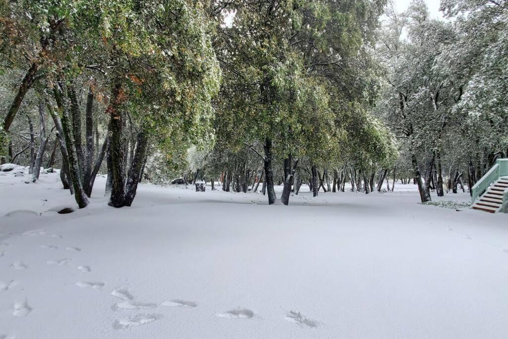 Pine Hills Cabin In จูเลียน ภายนอก รูปภาพ